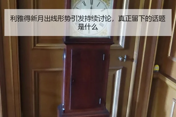 li-ya-de-xin-yue-chu-xian-xing-shi-yin-fa-chi-xu-tao-lun-zhen-zheng-liu-xia-de-hua-ti-shi-shen-me-2-813.jpg